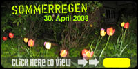 sommerregen