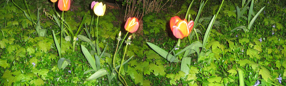 sommerregen_02