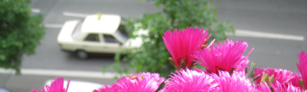 Balkon Taxi