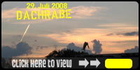 Dachrabe