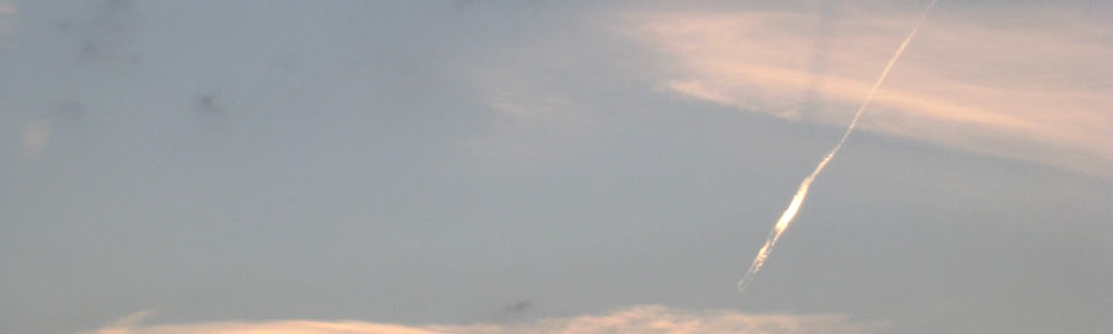 Dachrabe