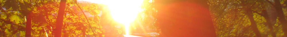 Kirschenpfadsonne