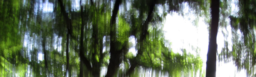 upside down