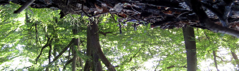 upside down