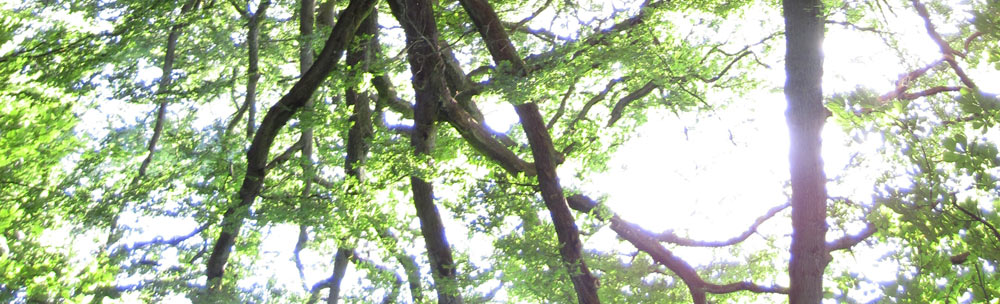 upside down