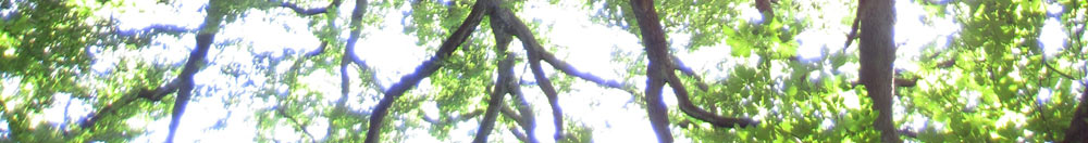 upside down