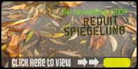 Reduit . Spiegelung