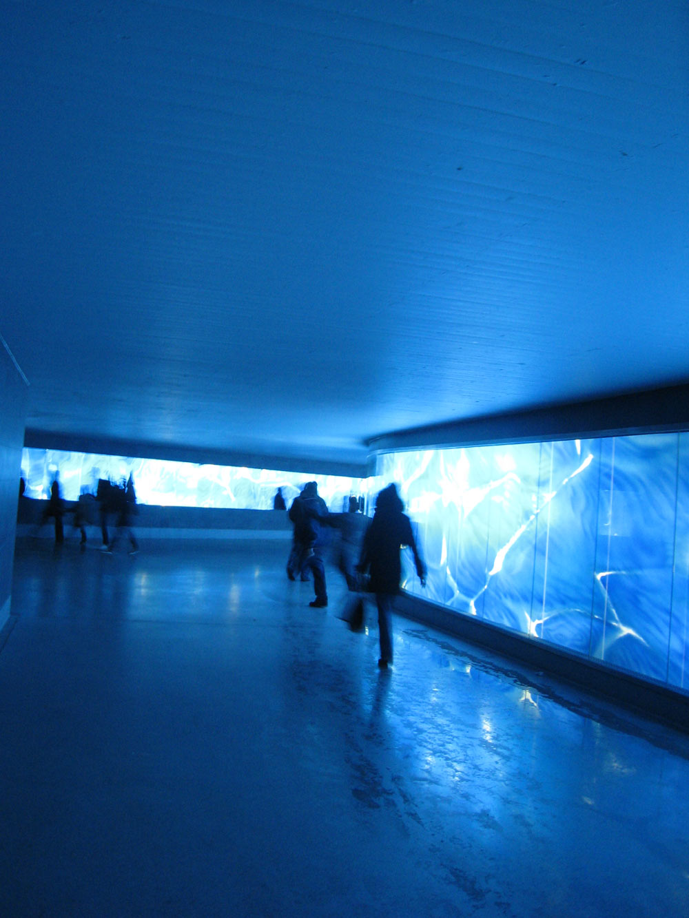 Blauunterwege