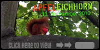 apfeleichhorn