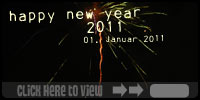 happy new year 2011