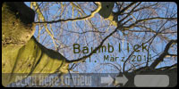 Baumblick