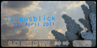 Taunusblick