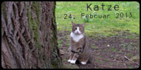 Katze