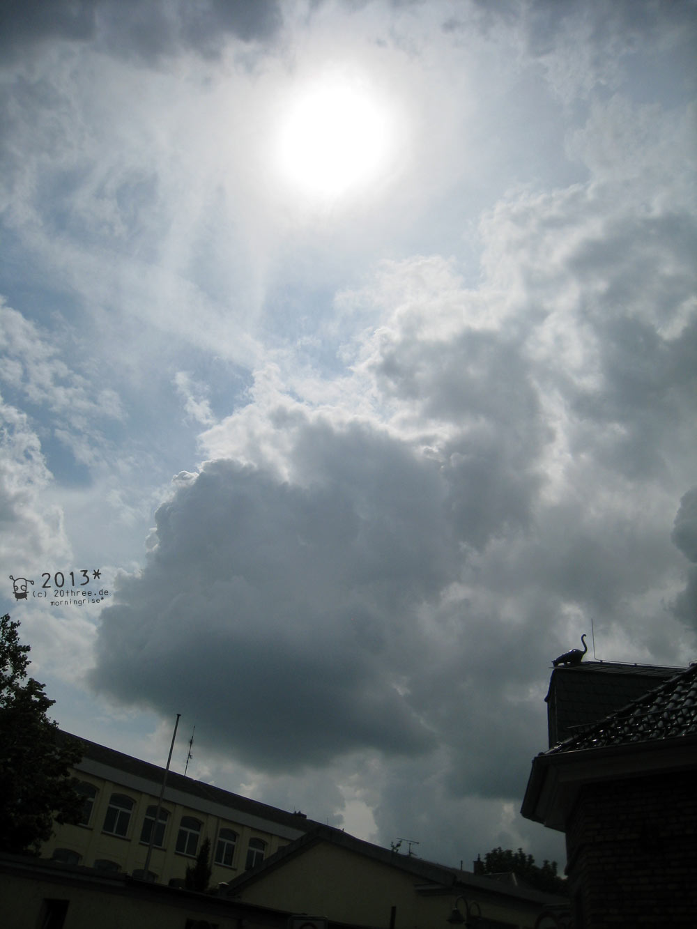 2013_07_05juli_katze_dach