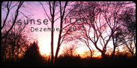 sunset trees . 20three.de
