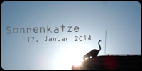 Sonnenkatze