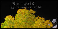 Baumgold
