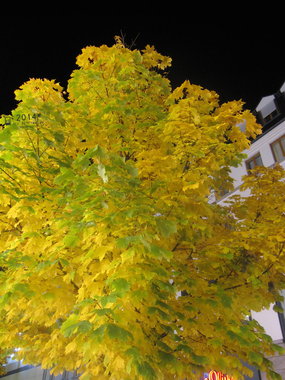 Baumgold