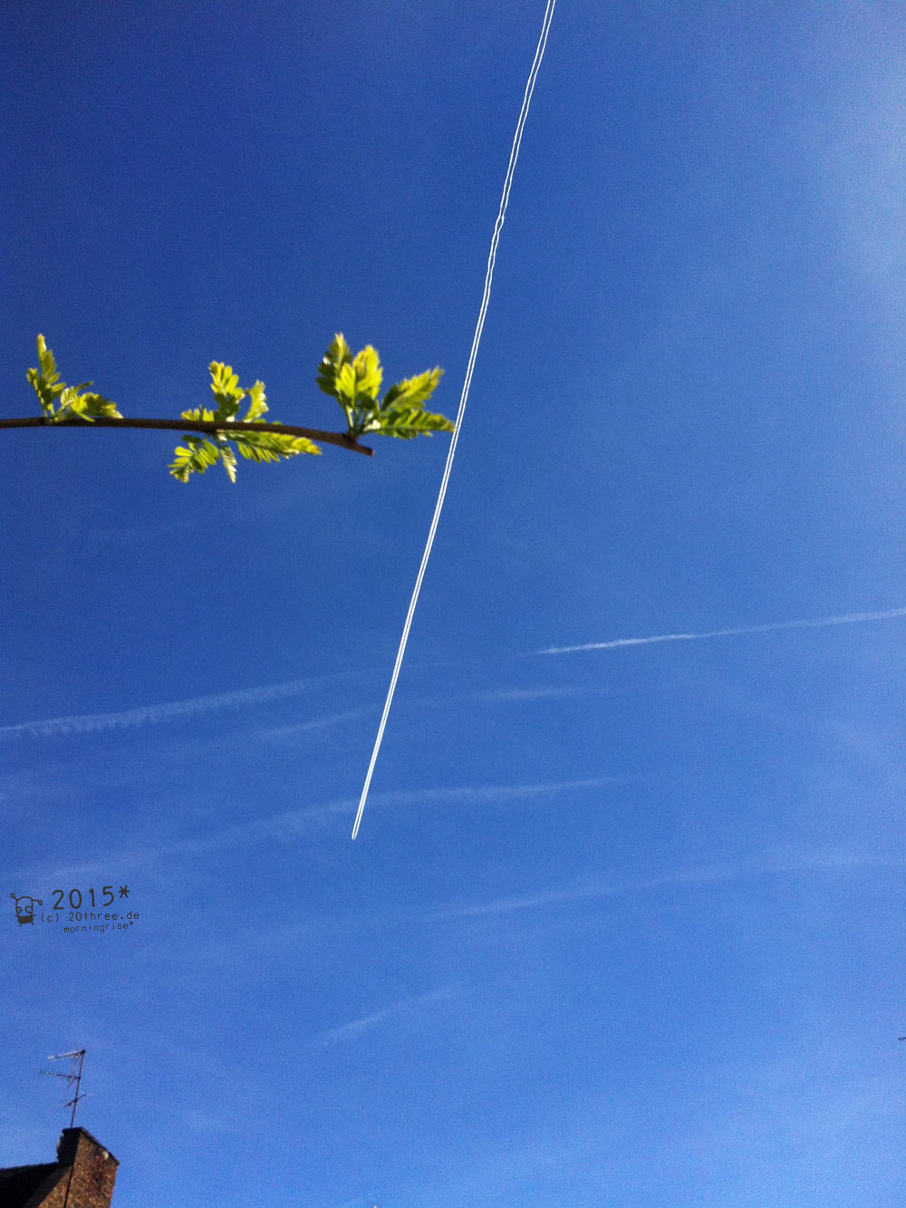 ...plant more trees . earth day: tomorrow . 21. April 2015 . 16:42 Uhr 