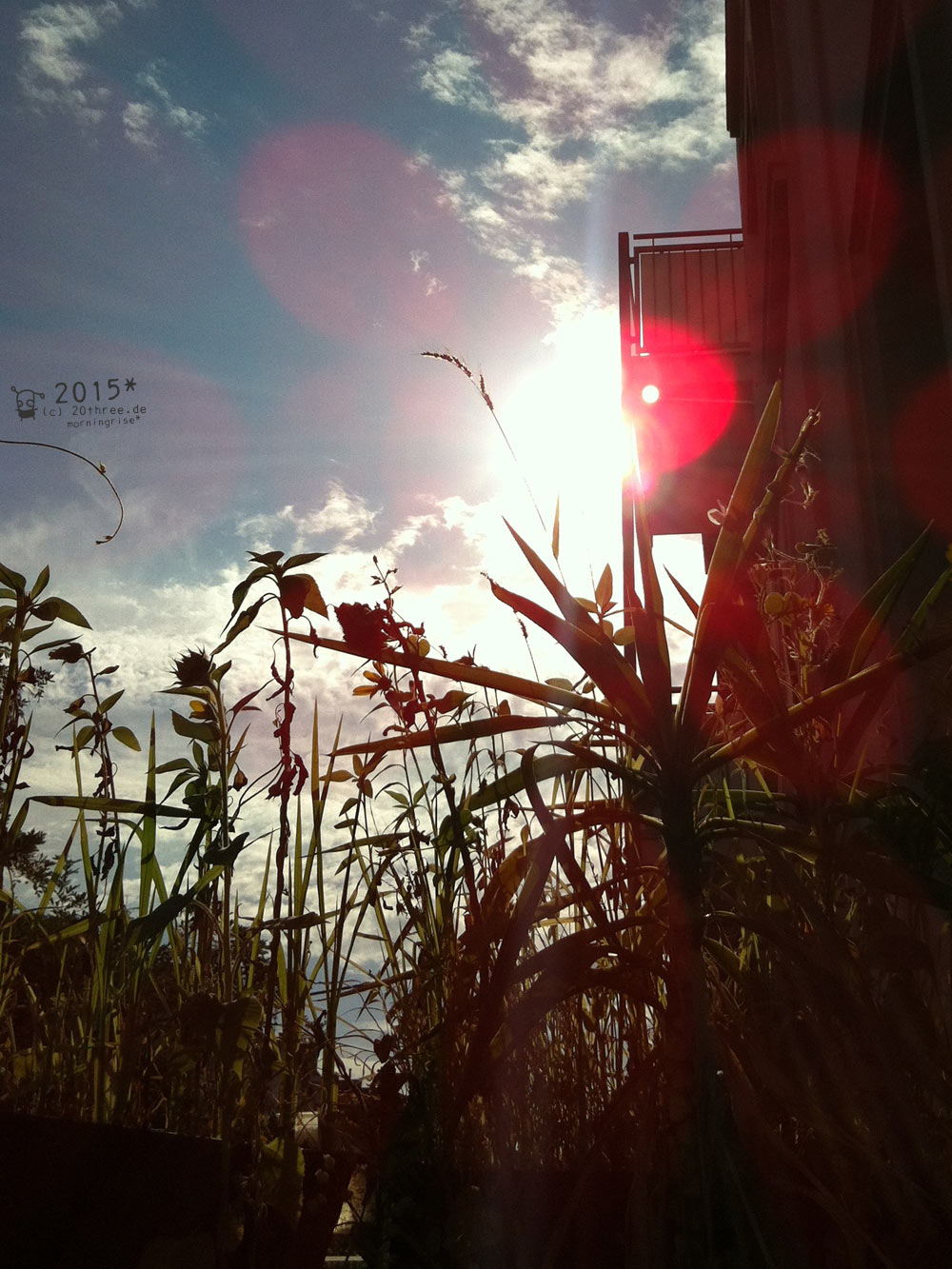 wate your time . 14. August 2015 