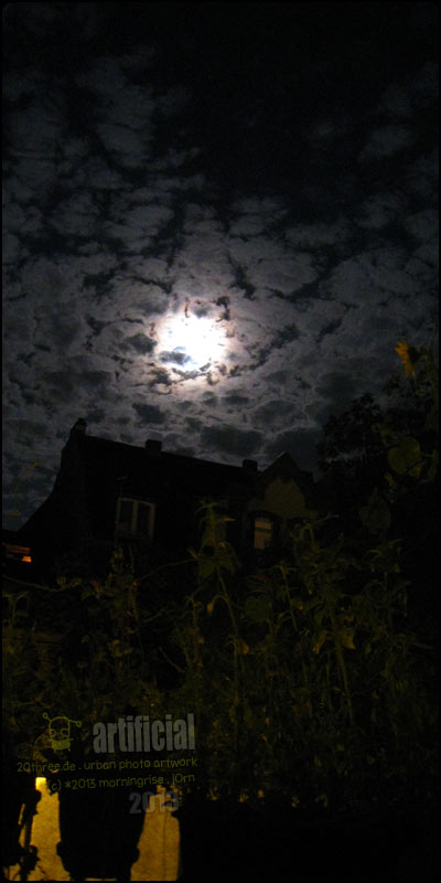 moonshine